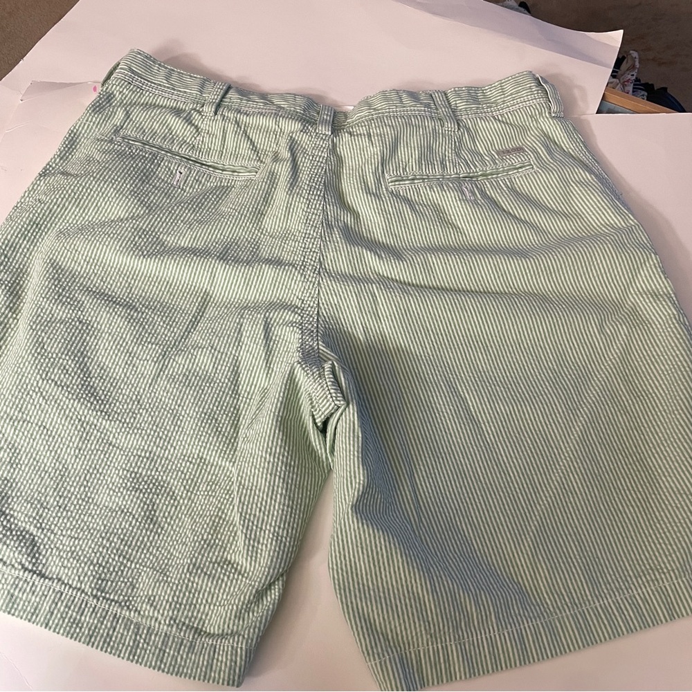 Izod Men's Light Green seersucker Striped Shorts - Picture 2 of 4